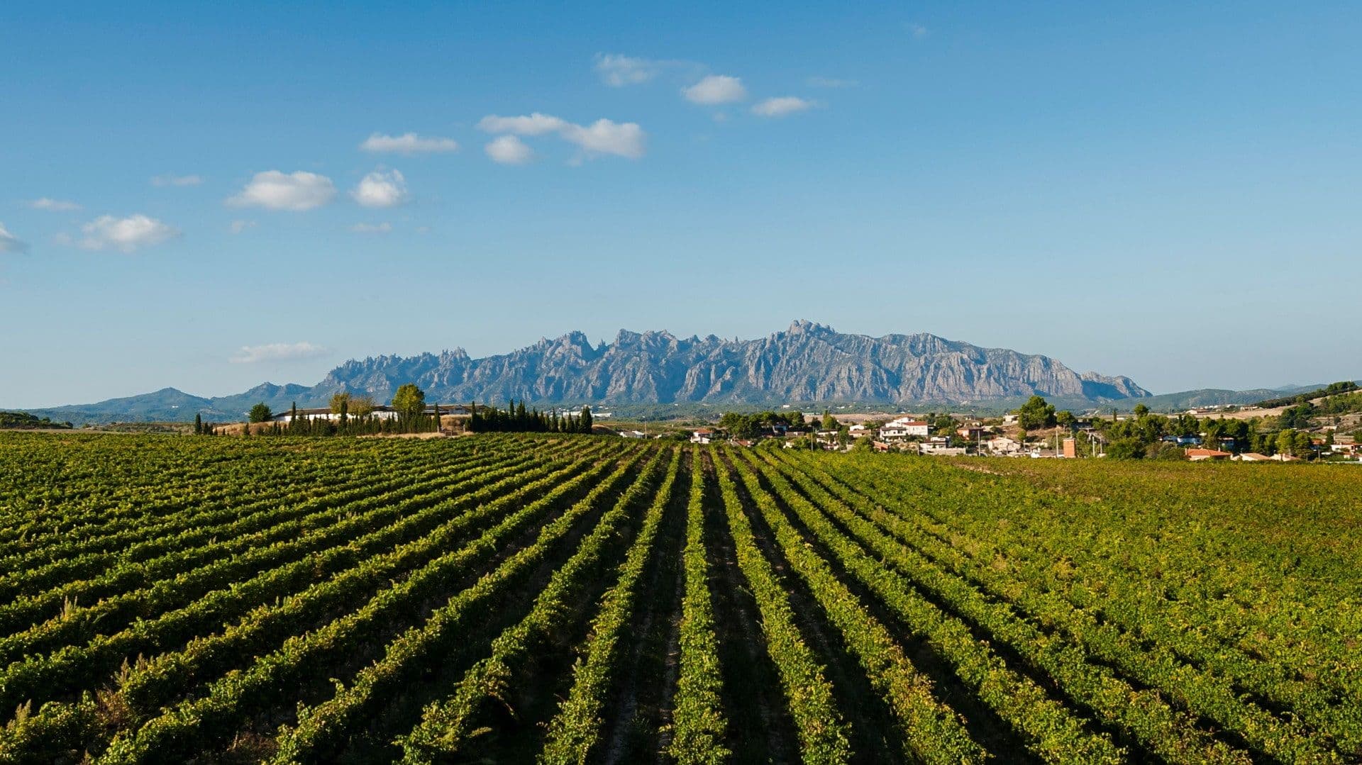 Montserrat with Monastery visit and Wine Tasting in Penedés